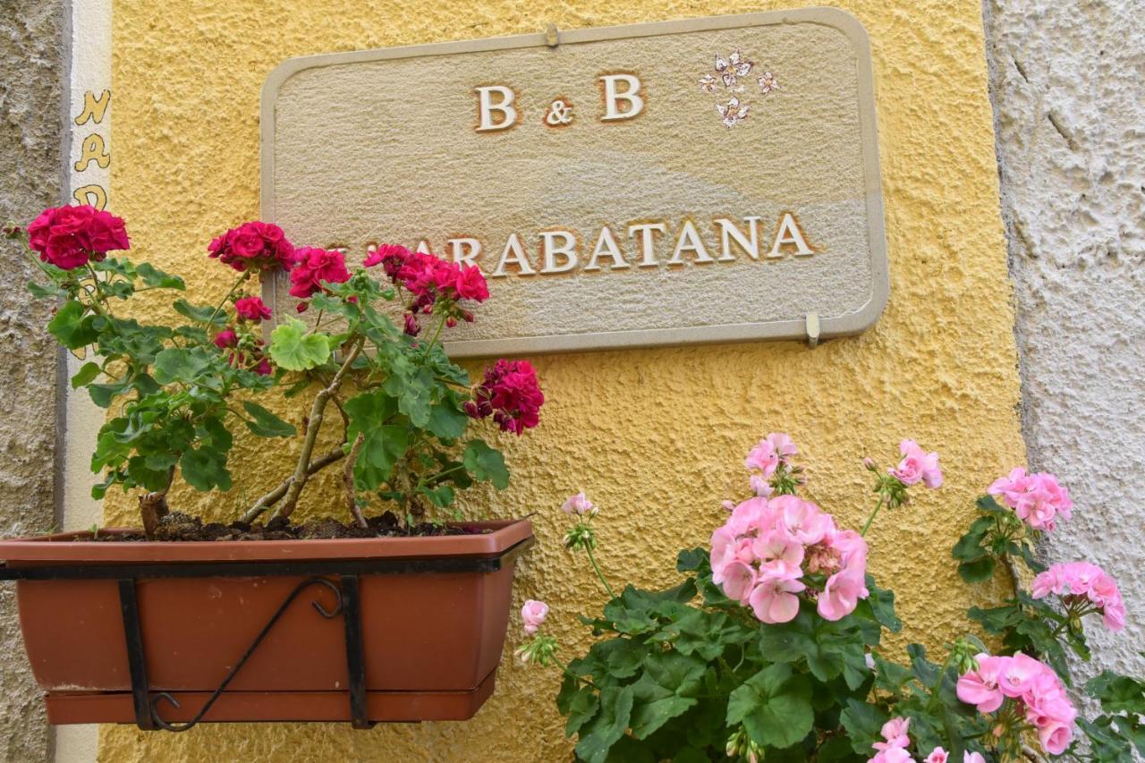 B&B L'Arabatana Pietrapertosa Extérieur photo